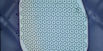 Max Hodak: Sensor Otak Manusia Pertama - Inovasi Teknologi Neural